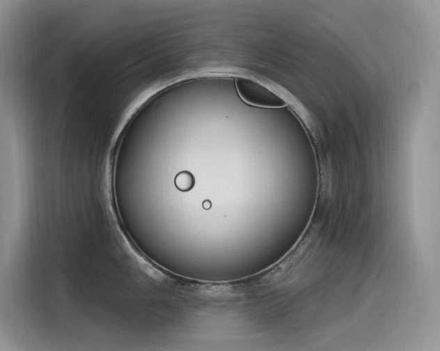 X0000115631006200911171332