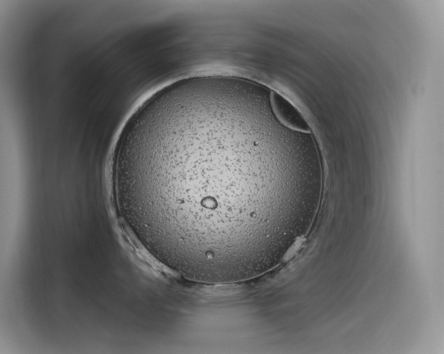 X0000115631008200911171332