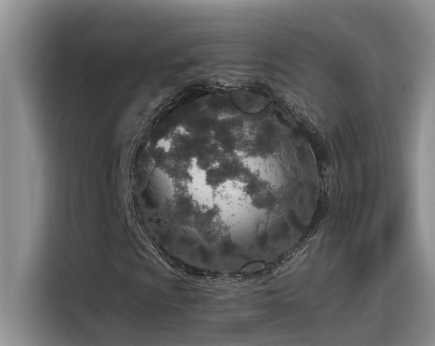 X0000115631009200911171331