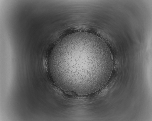 X0000115631010200911171331