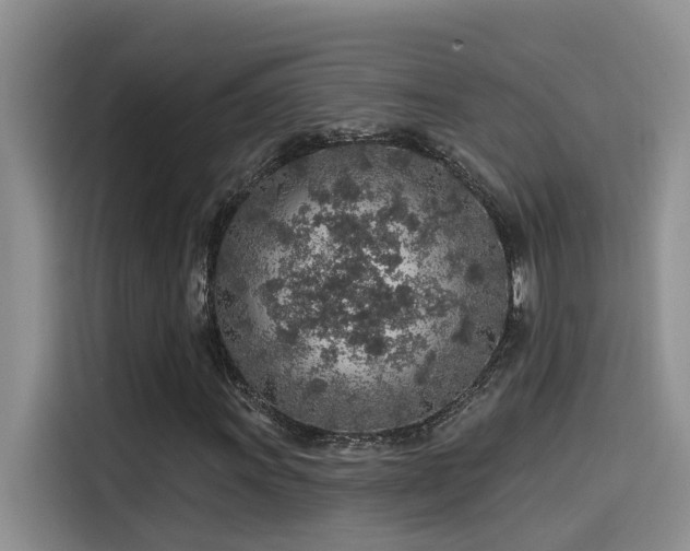 X0000115631011200911171331