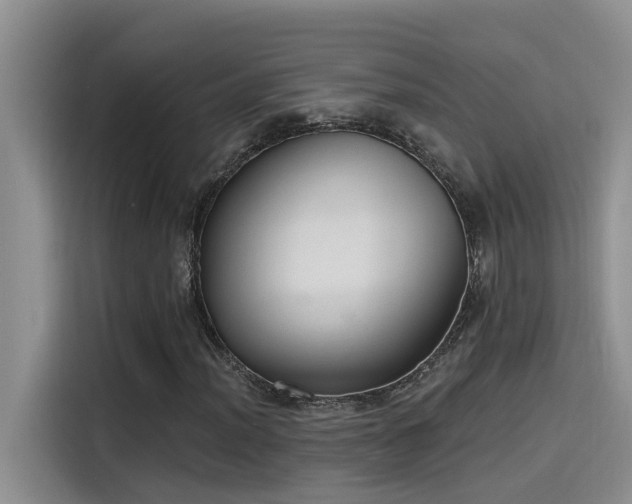 X0000115631012200911171331