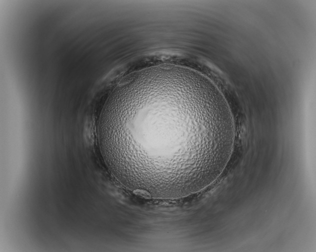 X0000115631014200911171331