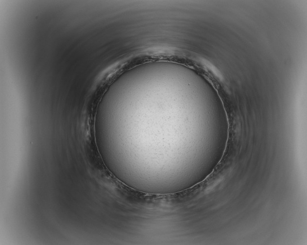 X0000115631016200911171331