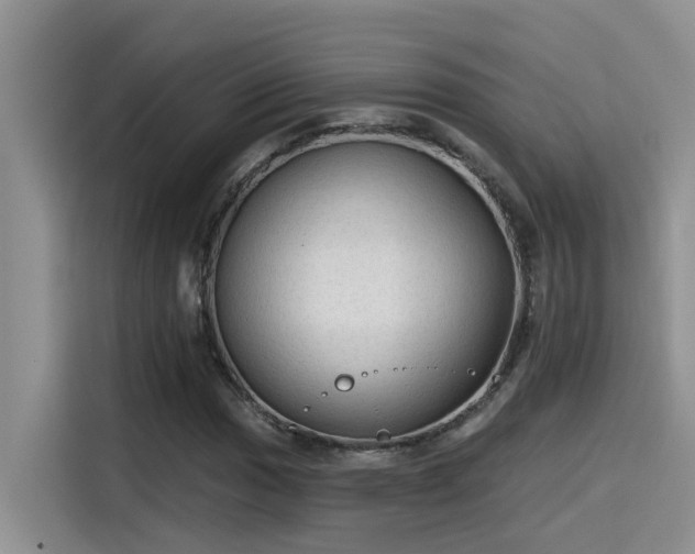X0000115631017200911171331
