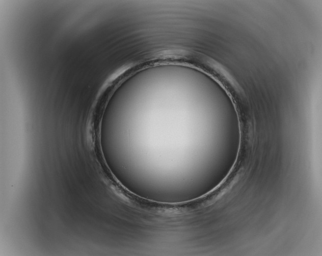 X0000115631018200911171331