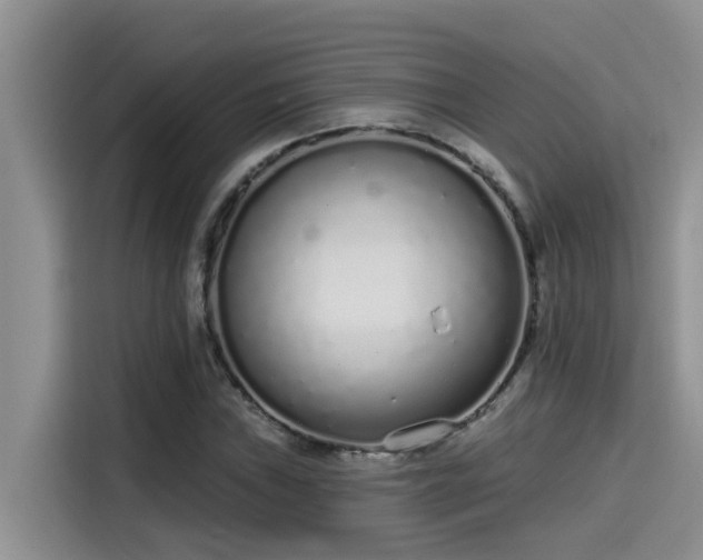 X0000115631019200911171331