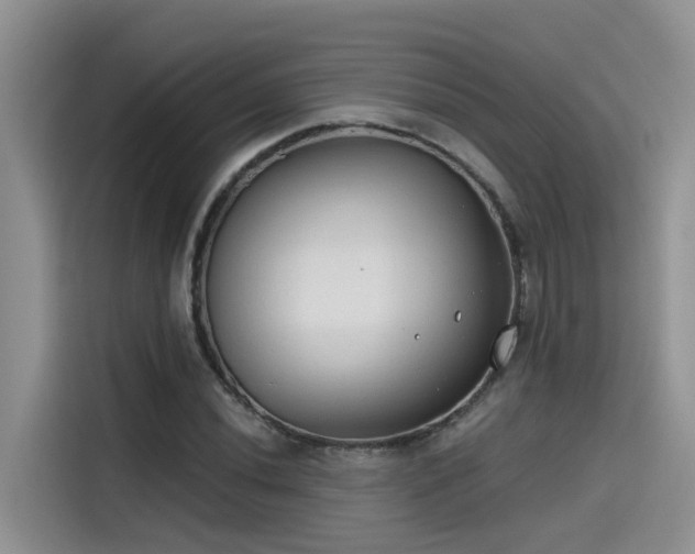 X0000115631020200911171331