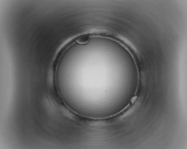 X0000115631021200911171331