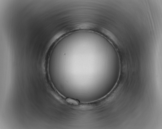 X0000115631026200911171332