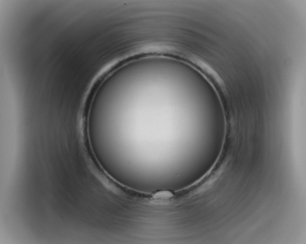 X0000115631029200911171332