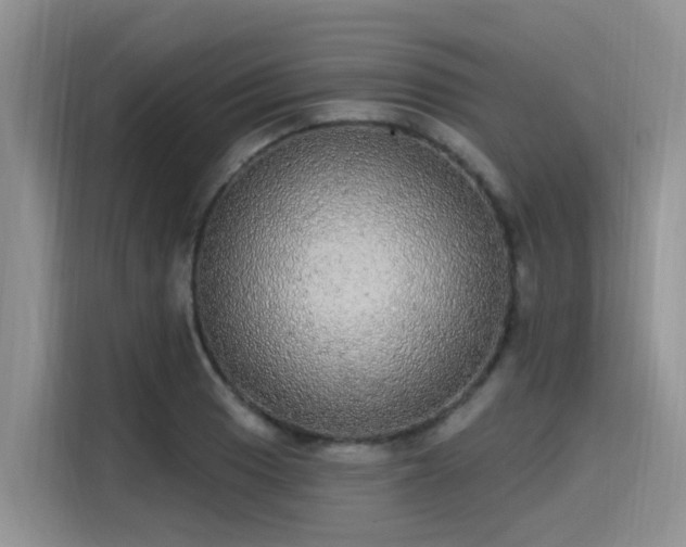 X0000115631033200911171332