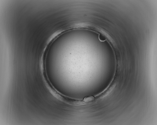 X0000115631034200911171332