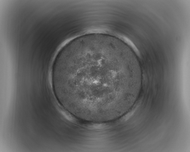 X0000115631035200911171332
