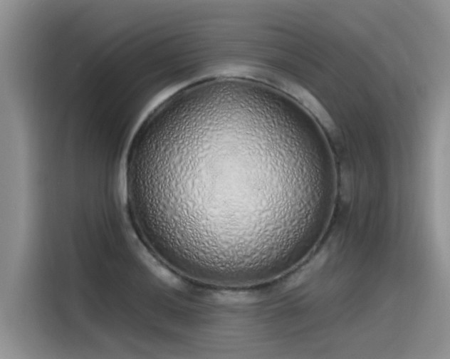 X0000115631036200911171332