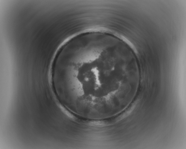 X0000115631037200911171332