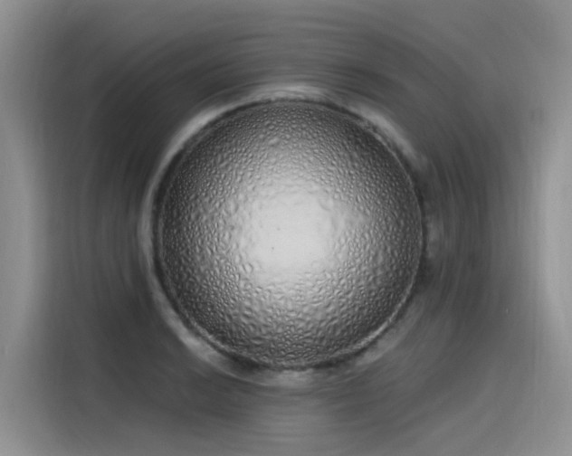 X0000115631038200911171332