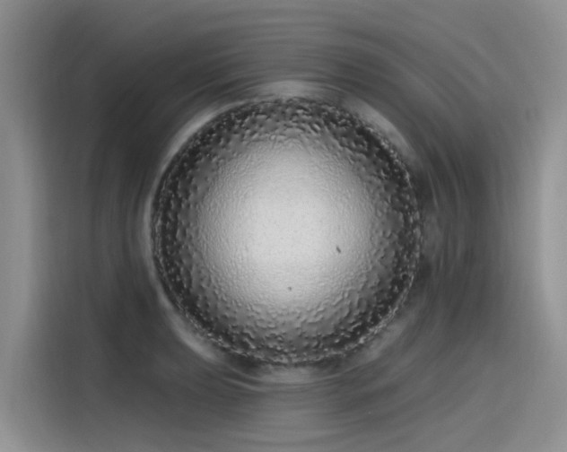 X0000115631039200911171332