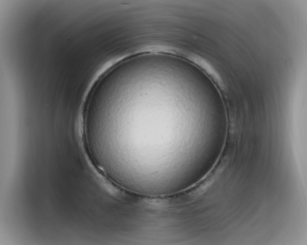 X0000115631040200911171332