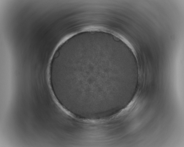 X0000115631045200911171332