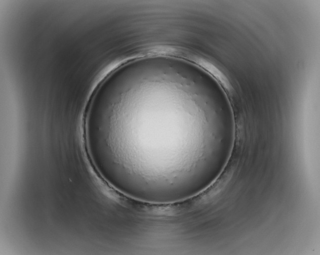 X0000115631047200911171332