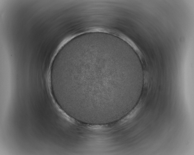 X0000115631048200911171332