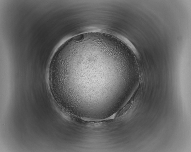 X0000115631051200911171332