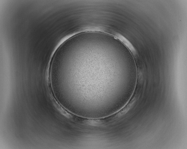 X0000115631052200911171332