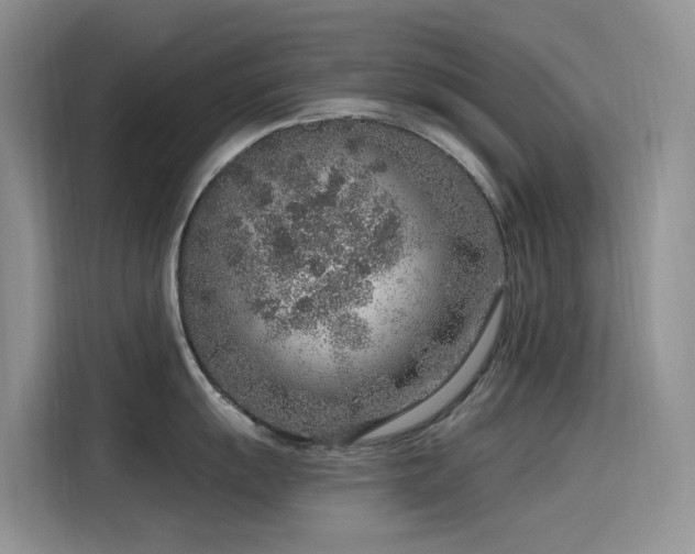 X0000115631055200911171332