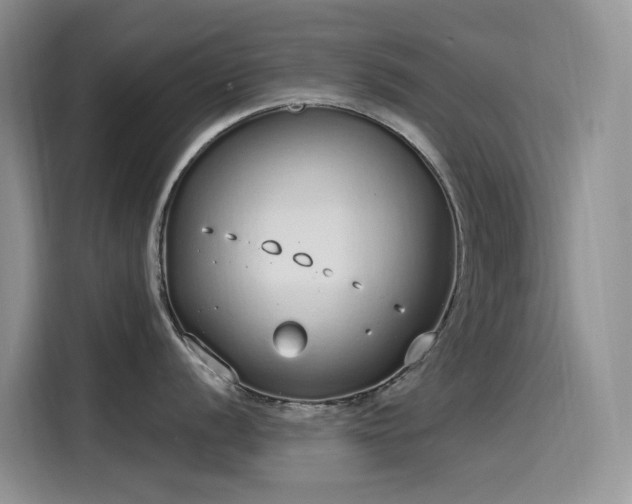 X0000115631056200911171332