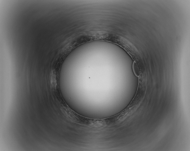 X0000115631058200911171331