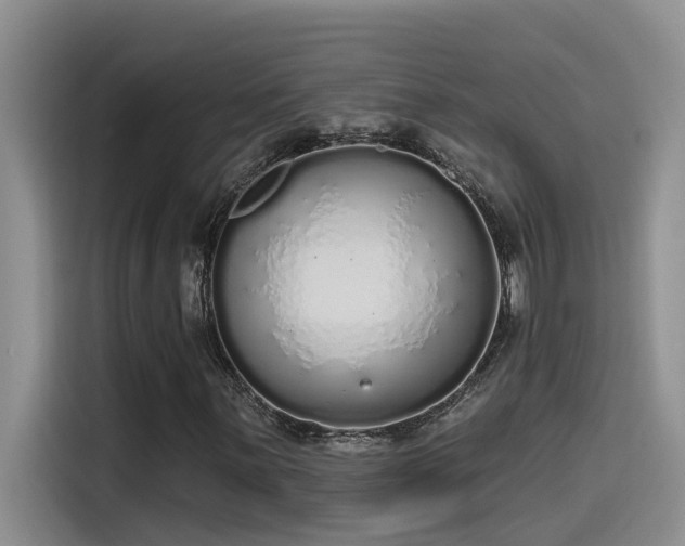 X0000115631059200911171331