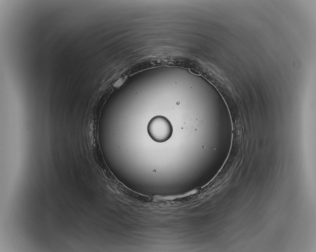 X0000115631060200911171331