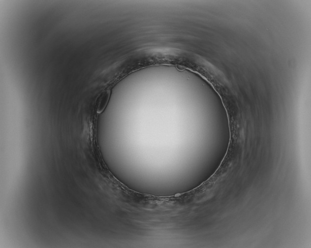 X0000115631061200911171331