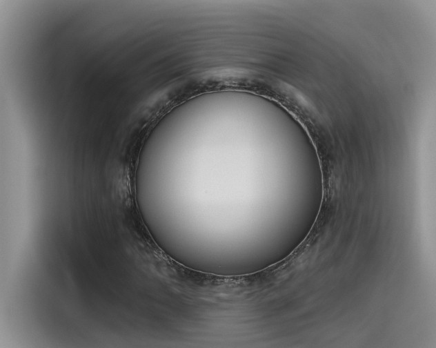 X0000115631062200911171331