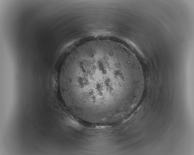 X0000115631063200911171331