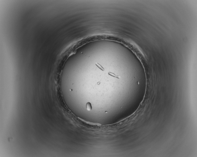 X0000115631064200911171331