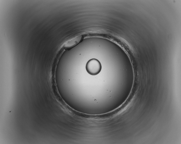X0000115631065200911171331