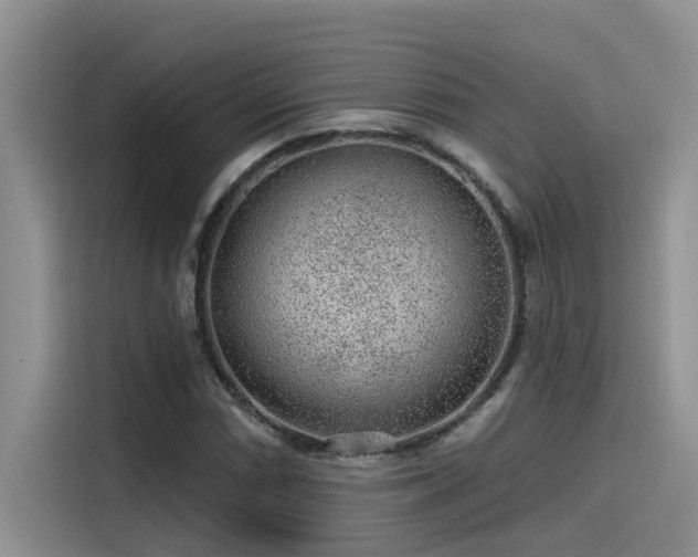 X0000115631066200911171331