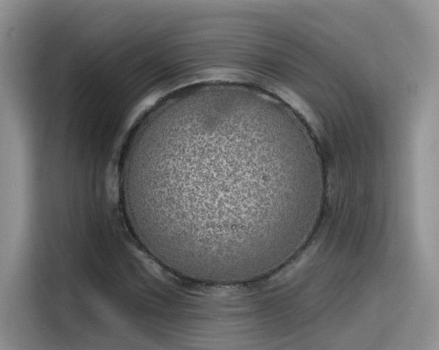 X0000115631067200911171331