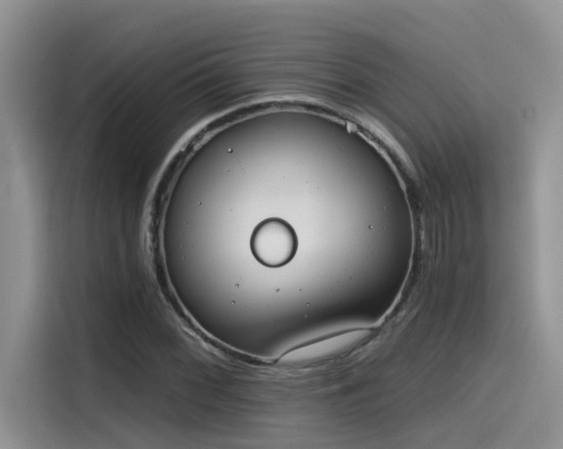 X0000115631068200911171331