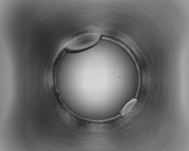 X0000115631069200911171331
