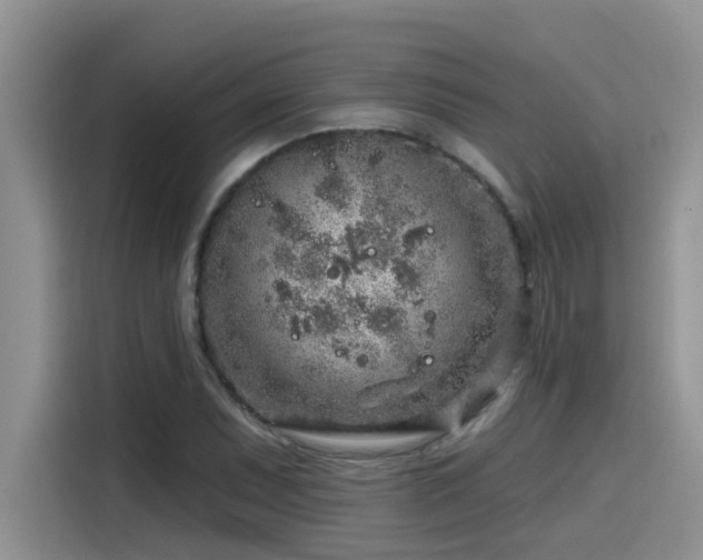 X0000115631071200911171331