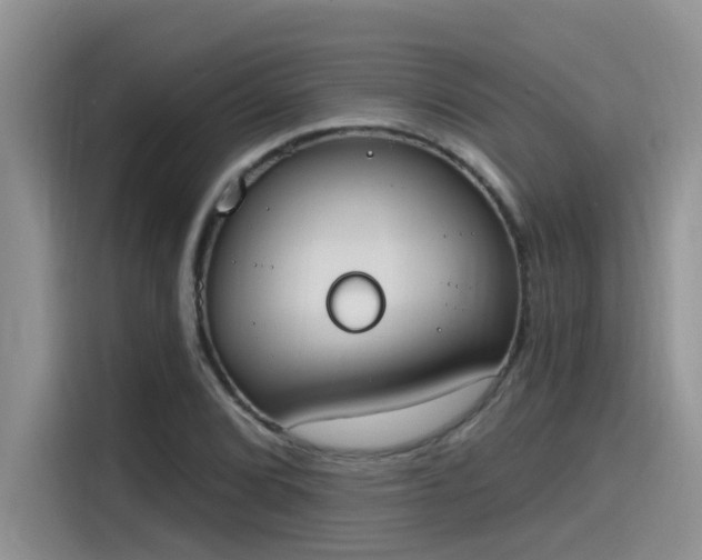 X0000115631072200911171331