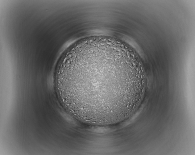 X0000115631074200911171331