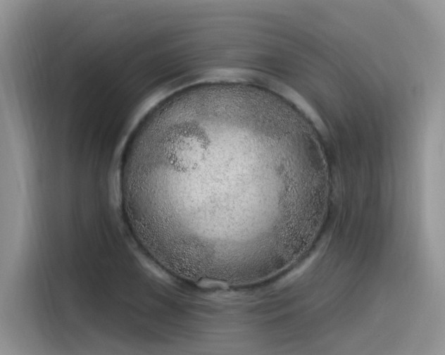 X0000115631075200911171331