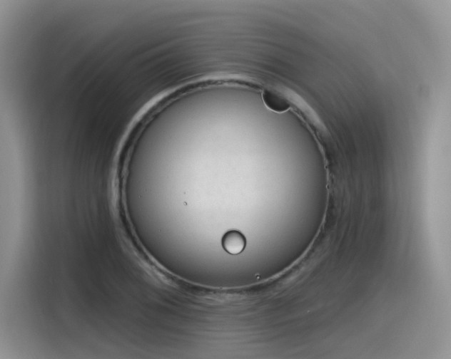 X0000115631076200911171331