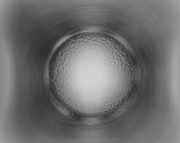 X0000115631078200911171331