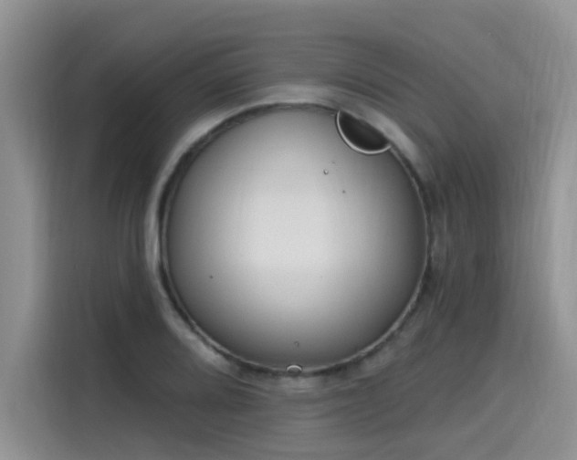 X0000115631080200911171331