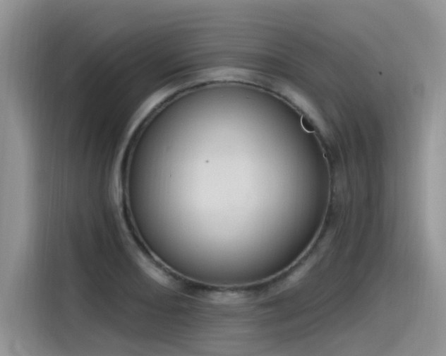 X0000115631082200911171331
